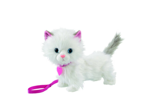 Mimi The Cat