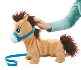 Pumpkin The Shetland Pony
